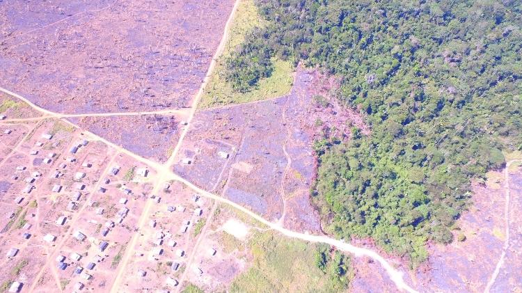 PF retoma terra invadida em floresta e manda destruir maquinário em RO - Divulgação/PF-RO - Divulgação/PF-RO