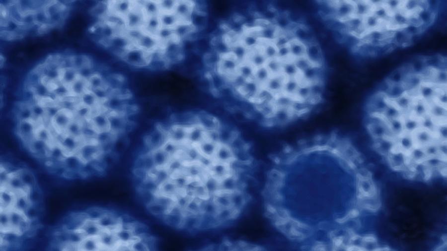 Imagem do vírus RNA em microscópio - Getty Images