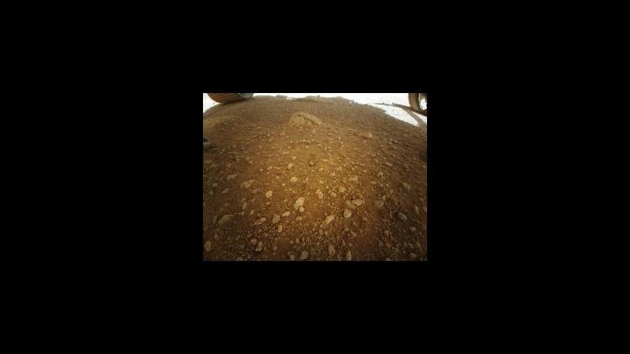 Primeira foto tirada pelo Ingenuity em Marte - Divulgação/Nasa