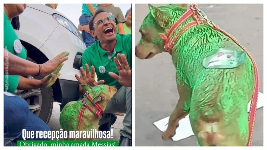 Prefeito e candidato à reeleição, Marcos Silva posou com o cão pintado de verde durante ato de campanha