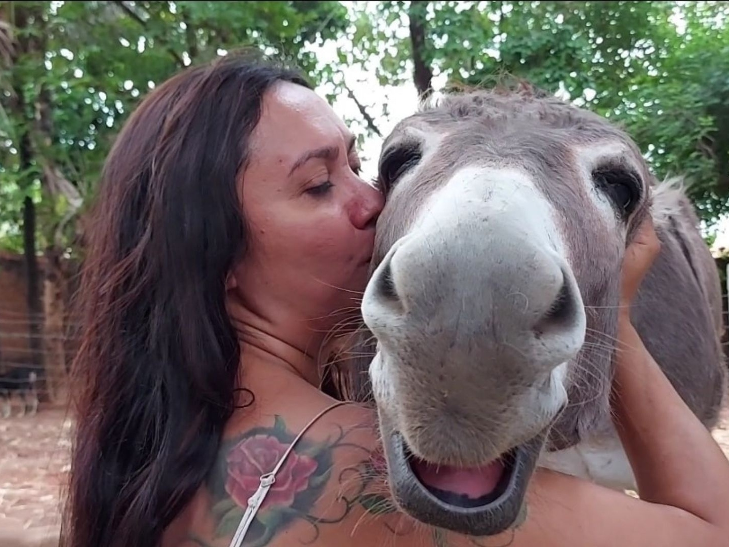 Mulher transando com jumentinho