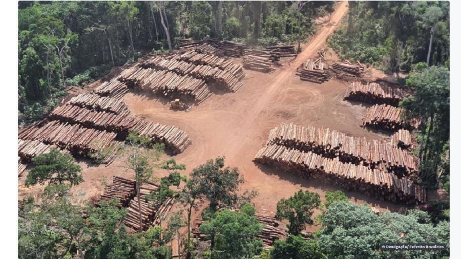 Justiça obriga Ibama a restabelecer regra sobre exportação de madeira - Divulgação/Exército Brasileiro