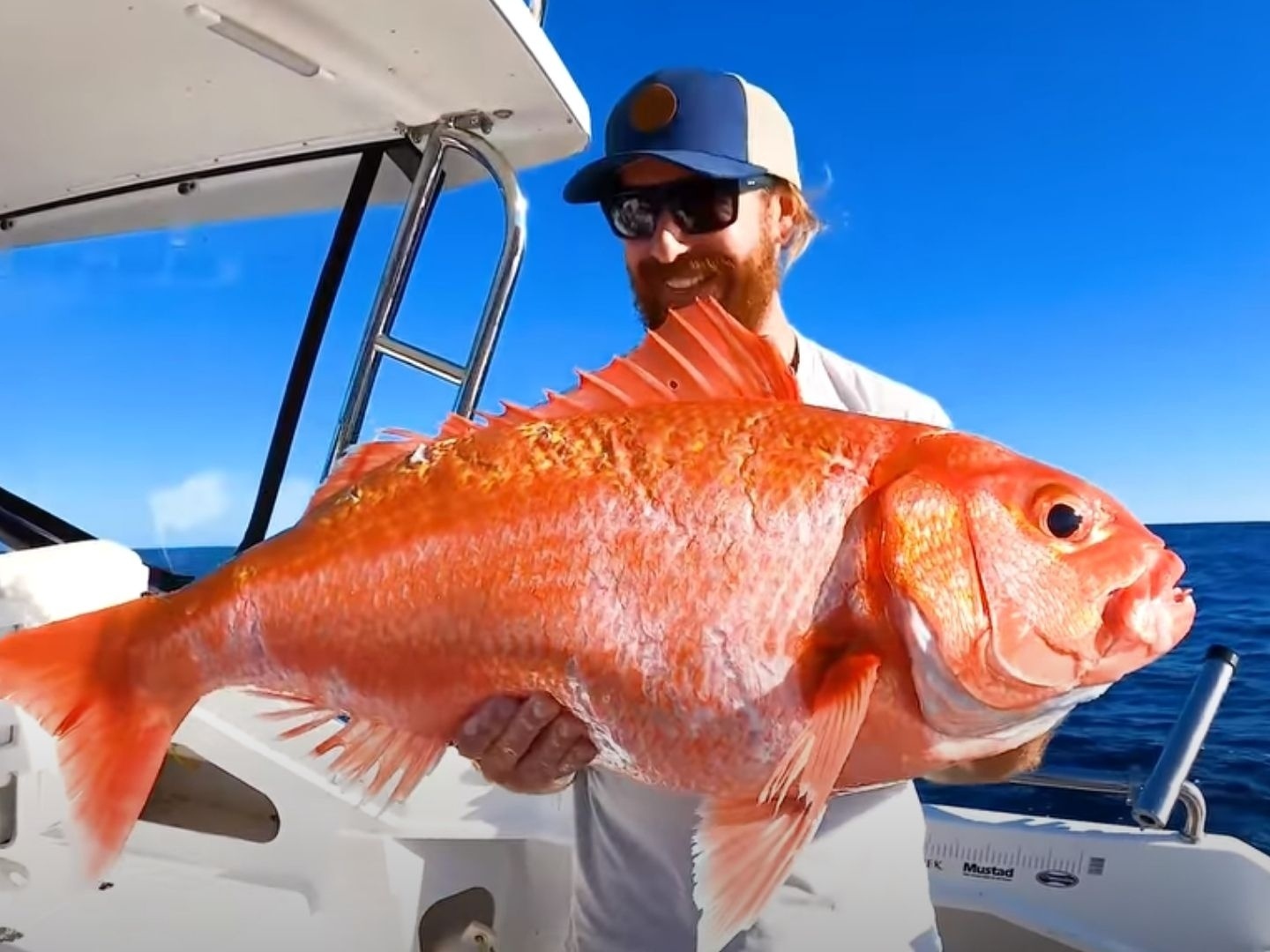 Cavalo-marinho, mais um peixe ameaçado - Mar Sem Fim