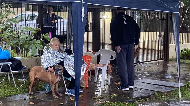 Guiomar Meirelles Toledo ficou com os cães após ser resgatada