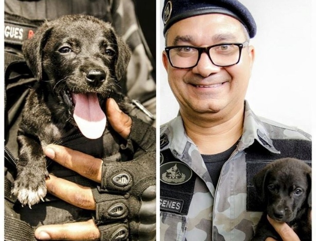 O filhote e seu novo dono, o subtenente Genes; o cão ganhou o nome de Duque - Divulgação/Polícia Militar do Rio de Janeiro