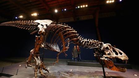 Dinossauro gigante descoberto há 15 anos finalmente ganha nome:  Australotitan - Canaltech
