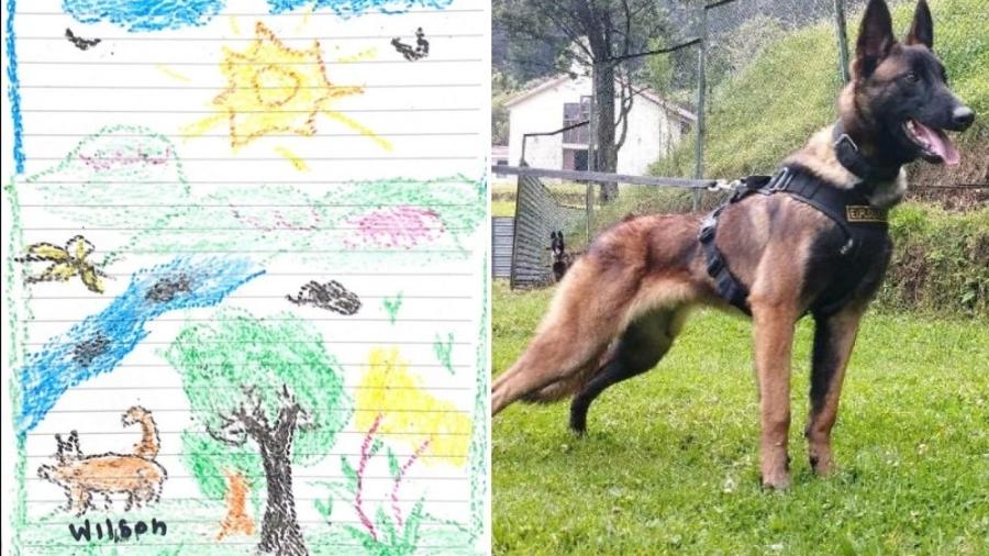Cachorro Wilson desapareceu durante buscas das quatro crianças colombianas - Reprodução/Forças Militares da Colômbia