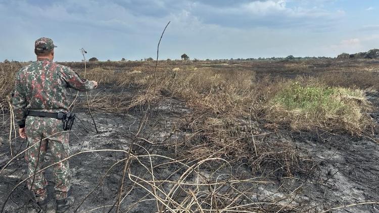 Agente da Polícia Militar Ambiental vê danos após incêndio florestal criminoso na Serra do Amolar (MS), no Pantanal