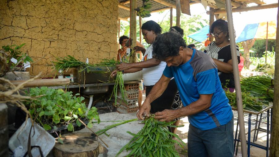 Agricultores trabalham no Quilombo Dona Bilina, em Campo Grande, na zona oeste do Rio