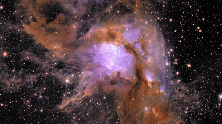Nova imagem do telescópio espacial Euclid da região de formação estelar Messier 78