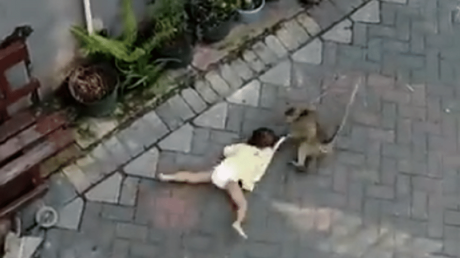 Macaco arrasta criança por rua da Indonésia - Reprodução/Twitter/@peteerh