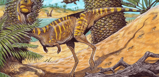 Berthasaura leopoldinae representa um dos esqueletos mais completos desses répteis no país