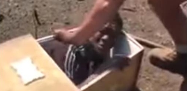 Homem negro é colocado em caixão em vídeo publicado no tabloide "Daily Sun" - Reprodução