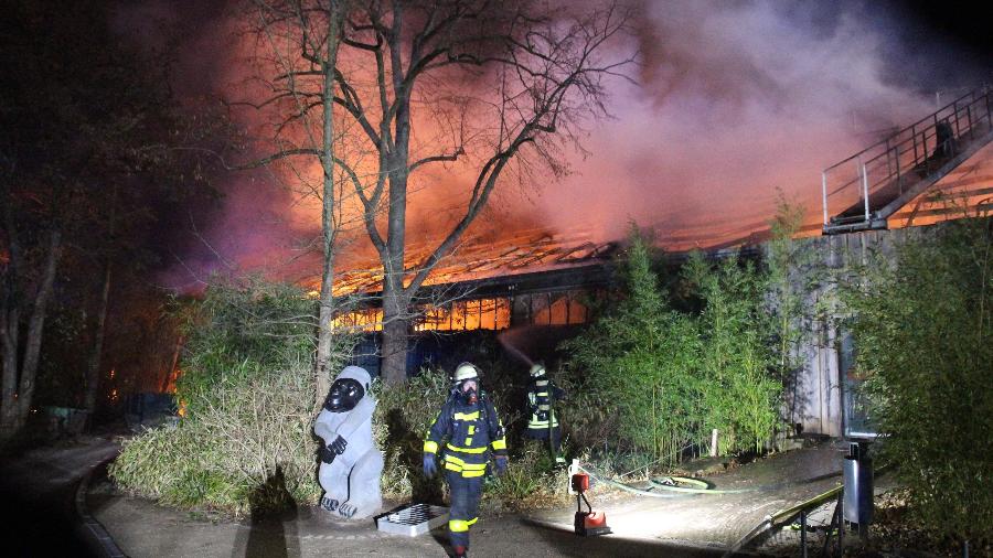 Bombeiros atuam em incêndio em zoológico em Krefeld, na Alemanha; dezenas de animais morreram - Alexander Forstreuter/AFP