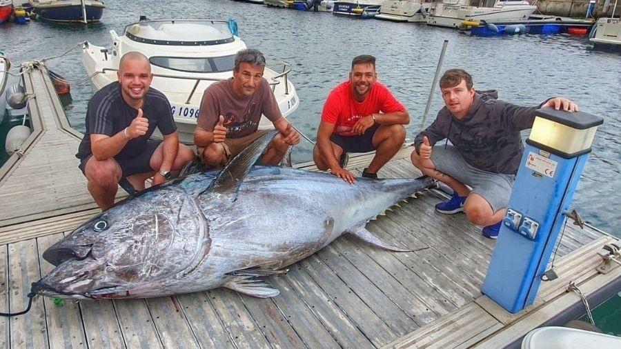 Peixe chegava a quase 5 metros de comprimento, segundo pescador - Reprodução/Facebook