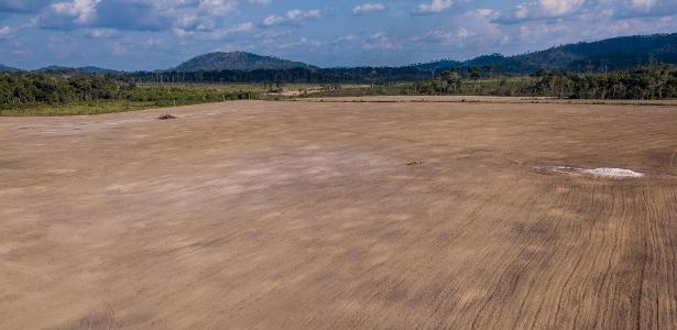 Terras agrícolas brasileiras ficaram até 115% mais caras em seis anos