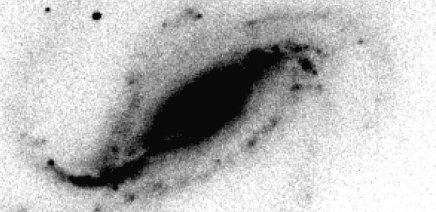 A supernova se encontra no sul da galáxia NGC 613 - V. B. y G. Folatelli