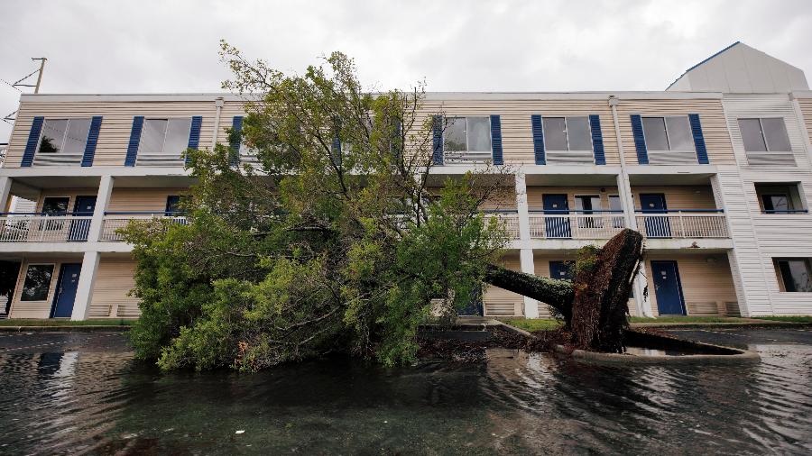 Árvore cai no estacionamento de um hotel durante a passagem do furacão Dorian em Wilmington, Carolina do Norte - Jonathan Drake/Reuters