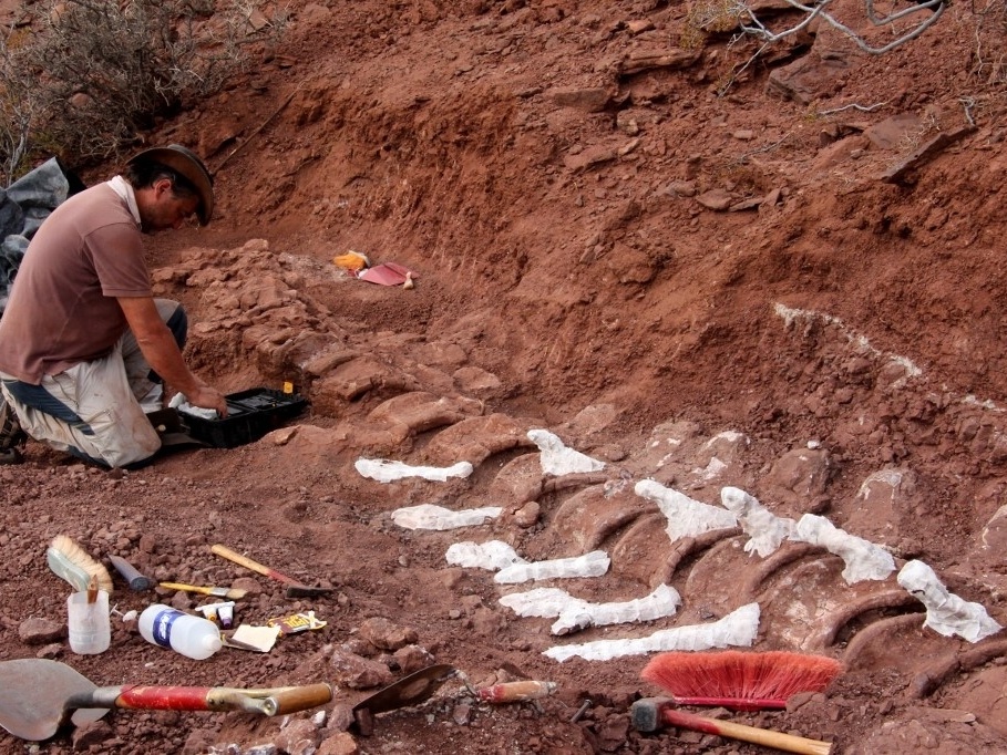 Dinossauro encontrado na Argentina pode ser o maior conhecido