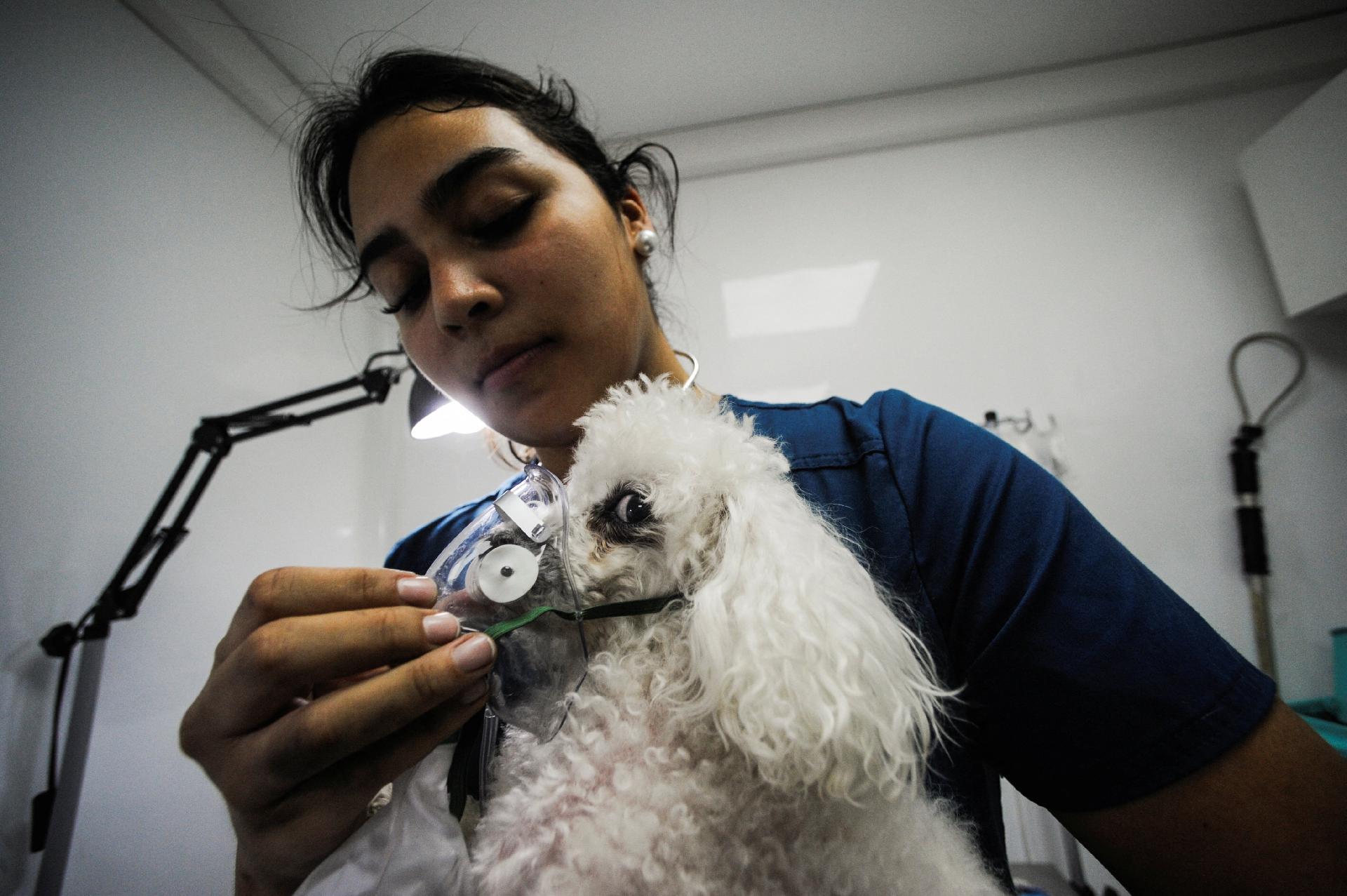 18.jan.2026 - Incêndios no Chile - undefined