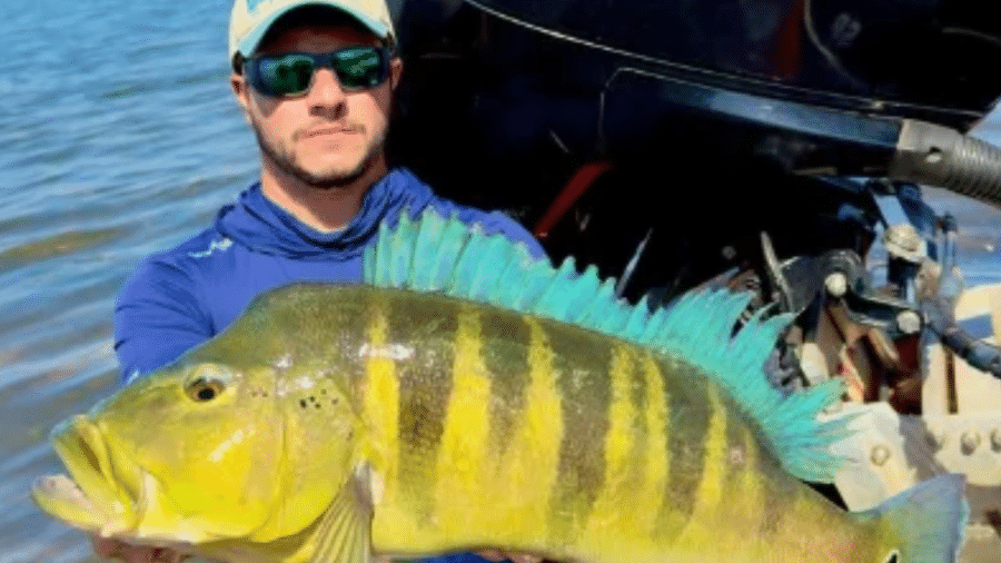 Pescador captura tucunaré-azul de 68 cm e bate recorde em Minas Gerais