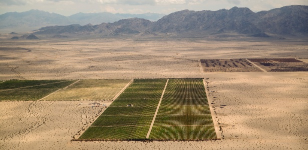 Vista aérea das plantações de limões em terras da firma Cadiz no deserto do Mojave, no condado de San Bernardino, na Califórnia (EUA) - Monica Almeida/The New York Times