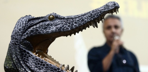 Réplica da cabeça do crocodilo que viveu há 70 milhões de anos na região do atual sudeste de São Paulo - Fábio Motta/Estadão Conteúdo