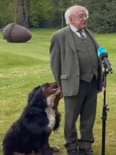 Cão do presidente da Irlanda pede carinho durante coletiva de imprensa - Reprodução/Youtube