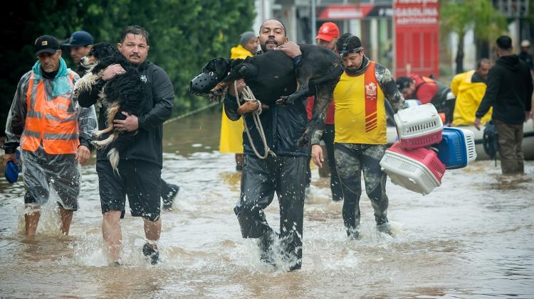 Voluntários resgatam cachorros que ficaram presos em casas inundadas pelas enchentes, no último sábado (11), em Porto Alegre (RS)