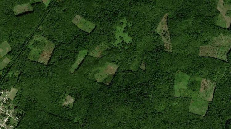 Imagem mostra mapa da floresta que cresceu sobre cidade maia