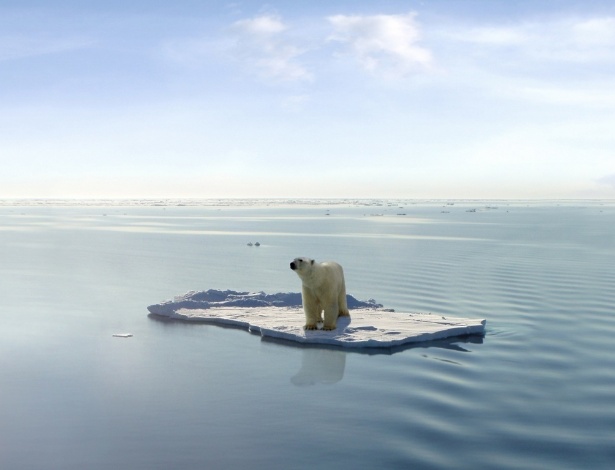 18.ago.2015 - Urso polar ilhado em bloco de gelo - Shutterstock