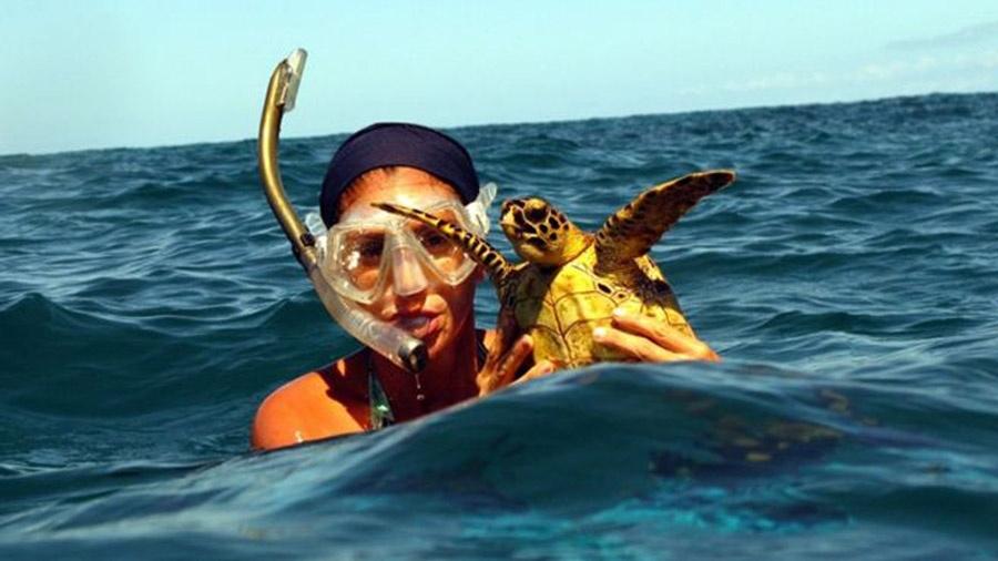 Oceanóloga Maira Proietti começou a estudar tartarugas marinhas em 2004 - Divulgação