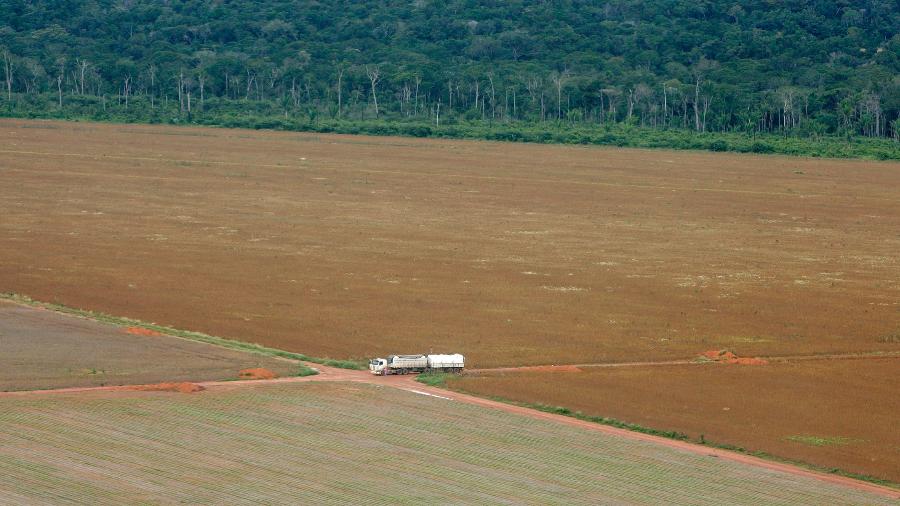 Fronteira entre área de cultivo de soja e a floresta amazônica em Mato Grosso - Paulo Whitaker