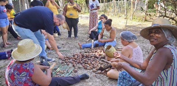 Cooperativa de quebradeiras de coco em Itapecuru-Mirim: grupo está sem apoio do Alimenta Brasil