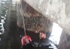 Vídeo: Motoqueiro cai na Baía de Guanabara e é resgatado por pescadores (Foto: Reprodução/Redes Sociais)
