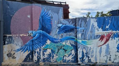 Arte na Fazenda Ararinha-Azul, em Curaçá (BA) Arte na Fazenda Ararinha-Azul, em Curaçá (BA)