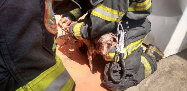 Corpo de Bombeiros/Facebook Corpo de Bombeiros/Facebook