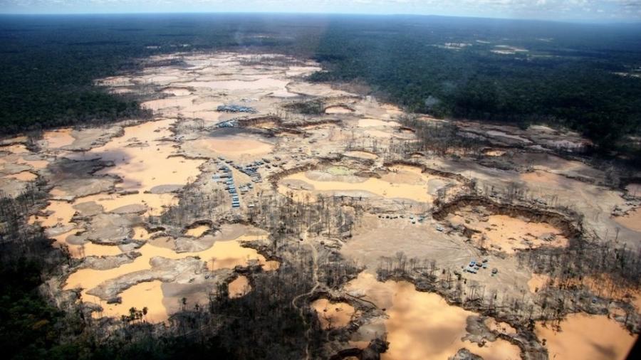 Desmatamento da Amazônia no Peru - WFU/ACERS