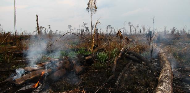 Maior desde 2008 | Dado anual de desmatamento da Amazônia deve indicar entre 9 mil e 11 mil km² de devastação