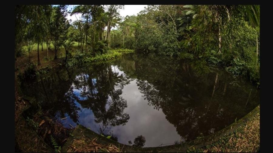 Parque Natural Municipal do Itaim  - Divulgação/Prefeitura de São Paulo 