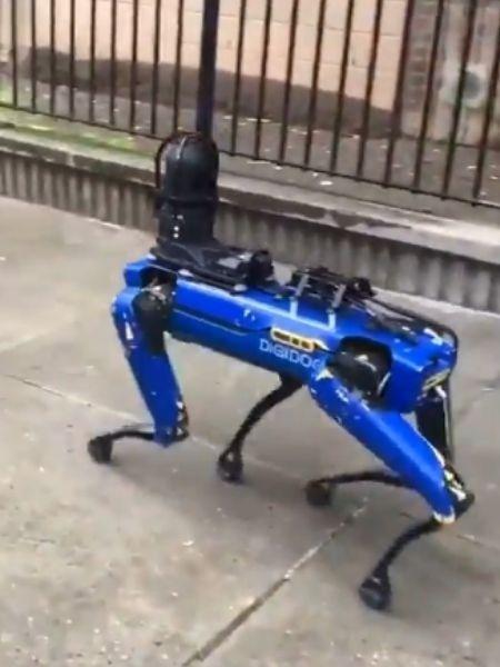 Cão-robô da polícia americana - Reprodução/Twitter