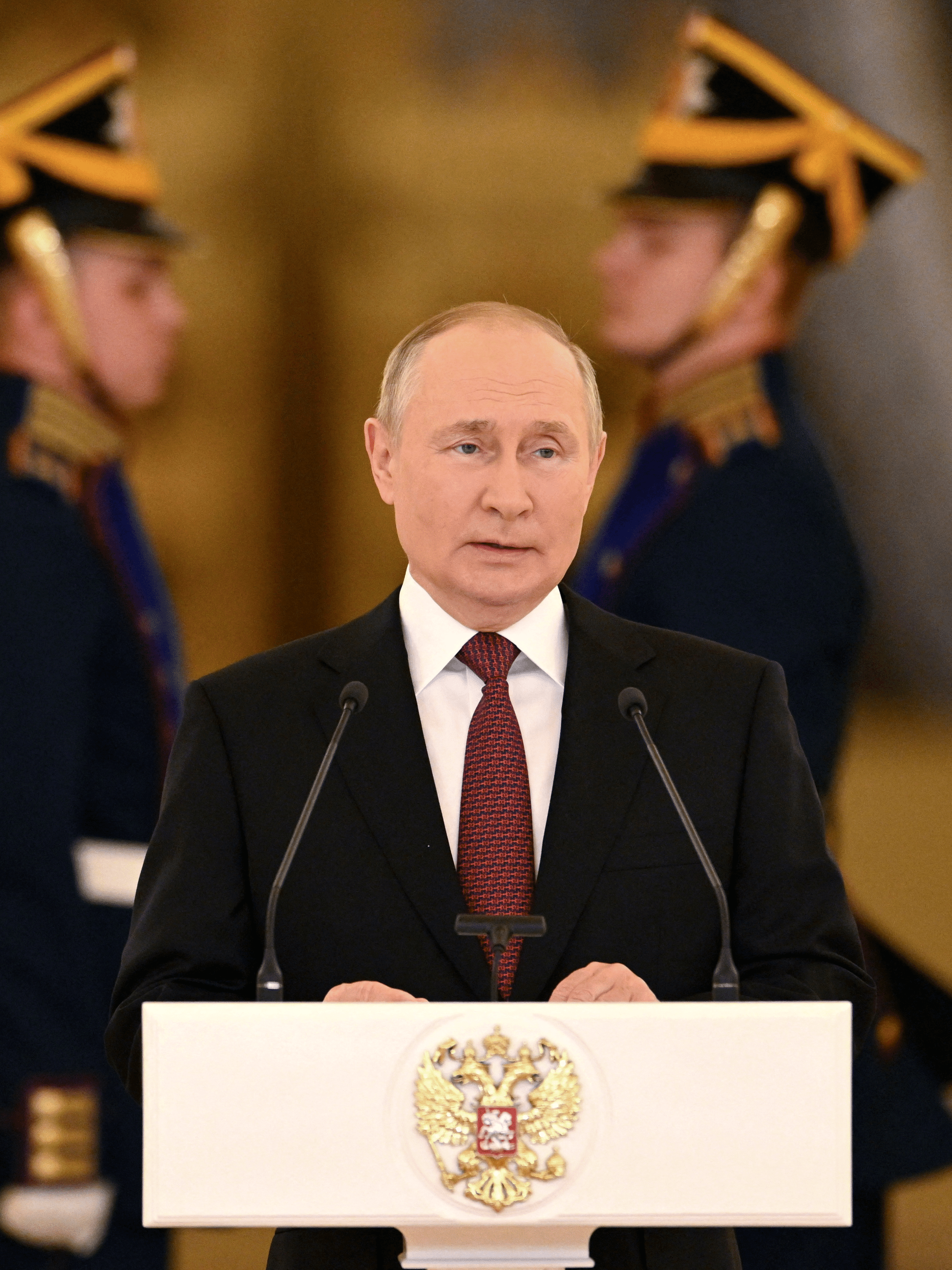 File:Reunião com o Presidente da Federação Russa, Vladimir Putin  (51886006785).jpg - Wikimedia Commons