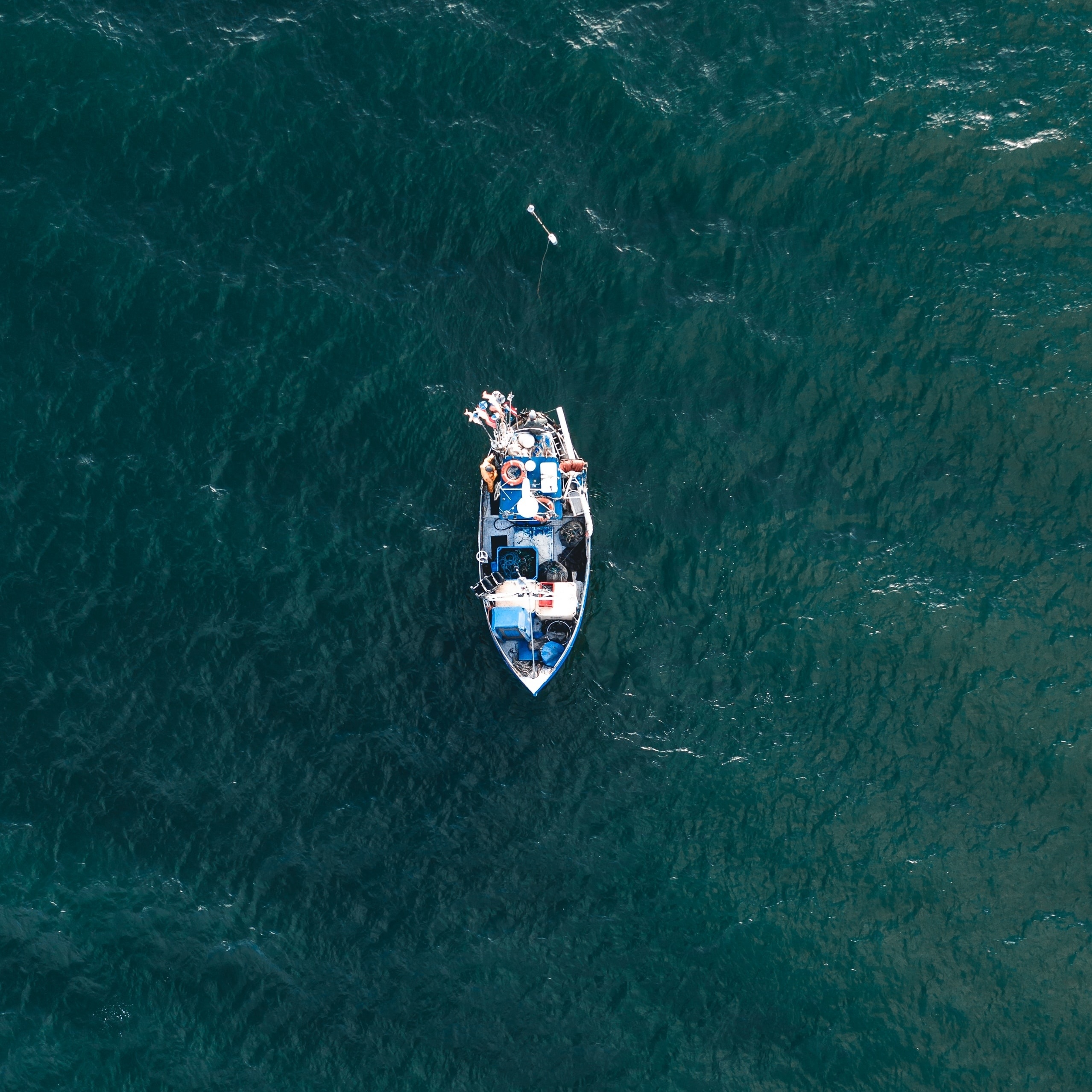 Sobrevivência no Mar – www.