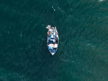 Cercado de água salgada: por que é tão difícil náufrago sobreviver no mar