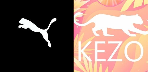 Puma será indenizada por uso de felino em roupas de confecção brasileira