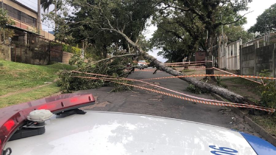 Queda de postes e árvores, assim como rompimento de fios, causou falta de energia em mais de 200 mil casas do RS - Reprodução/Twitter @EPTC_POA