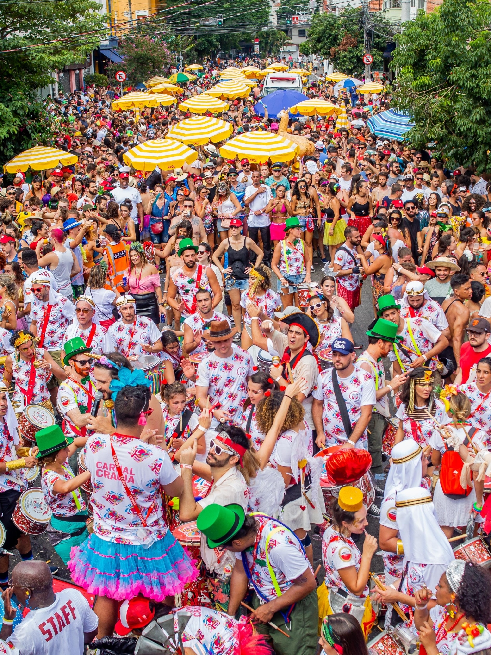 Um roteiro com mais de 30 blocos de rua para aproveitar o melhor do  carnaval de São Paulo - Estadão