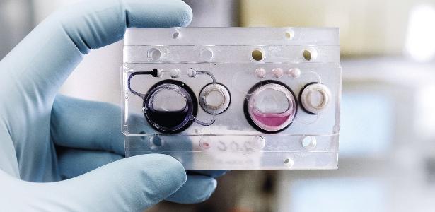 Técnica de impressão 3D produz tecido humano para testes de cosméticos