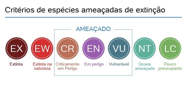 Entenda a classificação da Lista Vermelha da IUCN - ((o))eco