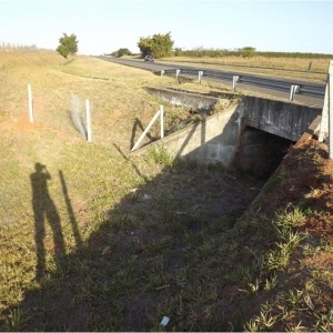 ViaRondon/Divulgação